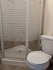 Female, 2nd flr w/ Private Bath Parking @York University Village - Photo 9