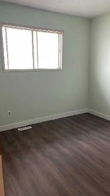 3 Bedroom Duplex Main Floor NE - Photo 7