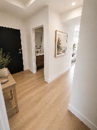 NEW! Stunning 2 Bedroom 2 Bathroom Apartment Available Oct 1st - Photo 5