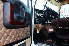 Truck detail or shampoo