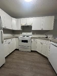 2 Bedroom Townhouse Sylvan Lake - Photo 2
