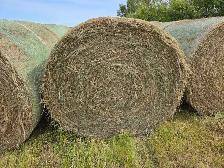 Hay for sale - Photo 2