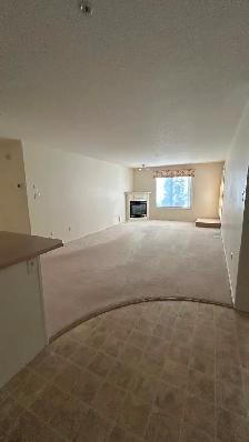Condo For Rent - St Albert -  Mission Hill Grande - Photo 6