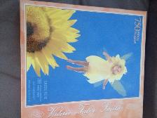2CASSE-TÈTE: PAPILLON 300PIÈCES VALÉRIE 750PIÈCES: $10.00 CHACUN - Photo 2