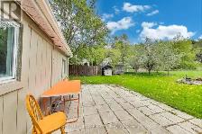 House Rental - East Gwillimbury ( Woodbine/404)3 Bed   2 Bath - Photo 16