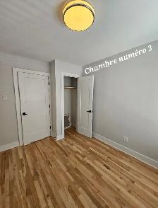 Rénové style condo,  4 e demi, 10 min de Metro Papineau, MTL - Photo 9