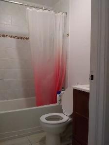 Room in 2BR at College & Spadina, 8 min walk to UofT, $906 - Photo 6