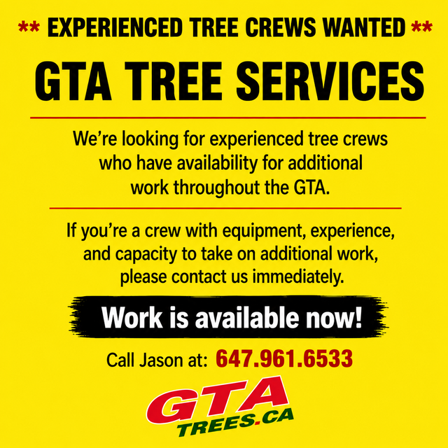 Experienced Trees Crews Wanted