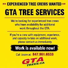 Experienced Trees Crews Wanted