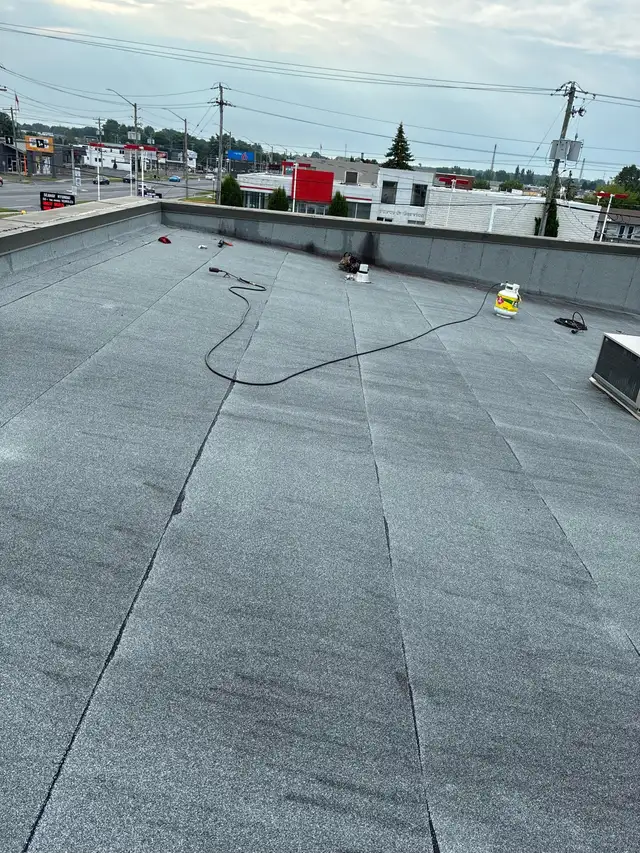 Shingles & Flat Roofs