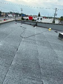 Shingles & Flat Roofs