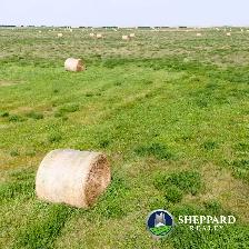 Off Grid Opportunity | 156 Total Acres | Near Dilke, SK - Photo 3