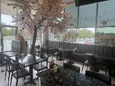 selling restaurant in richmond hill - Photo 3
