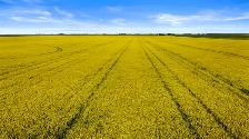306.39 Acres | RM of Sherwood # 159 | near Regina, SK - Photo 4