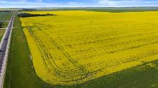 306.39 Acres | RM of Sherwood # 159 | near Regina, SK - Photo 5