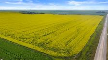 306.39 Acres | RM of Sherwood # 159 | near Regina, SK - Photo 6