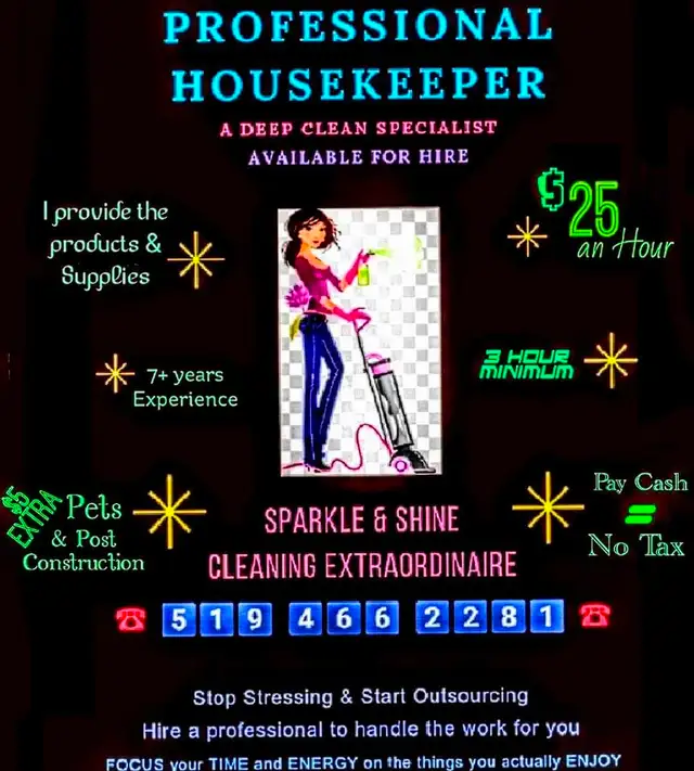 Professional Housekeeper and Deep Cleaning Specialist