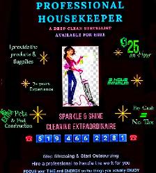 Professional Housekeeper and Deep Cleaning Specialist