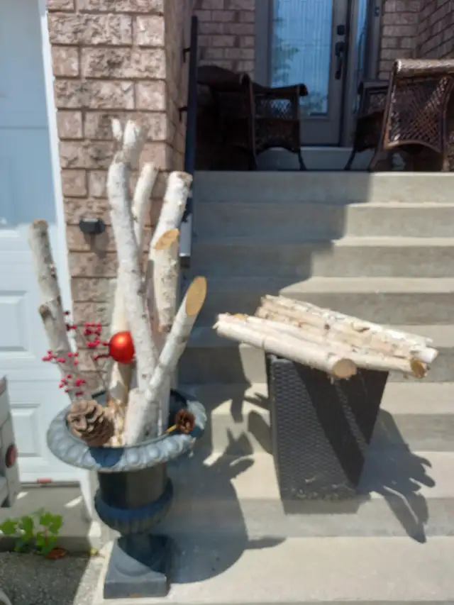 Birch wood decor. You get everything you see in the picture. EXC