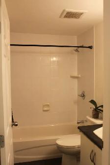 1 Bed 1 Bath Apartment - Burquitlam - Photo 6