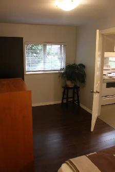1 Bed 1 Bath Apartment - Burquitlam - Photo 8