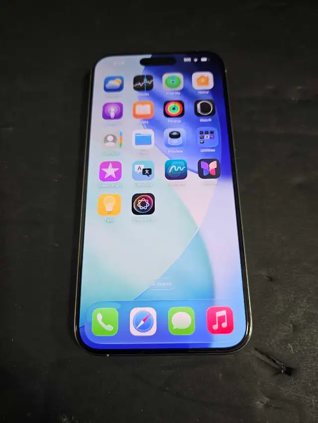 Iphone 15 Pro Max 256GB 100% Battery
