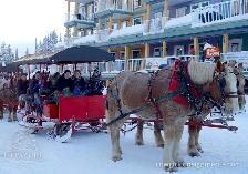 Heavy Duty Horse-Drawn Sleigh w/ Hydraulic Wheels — 12 passenger - Photo 3