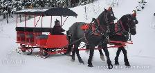 Heavy Duty Horse-Drawn Sleigh w/ Hydraulic Wheels — 12 passenger - Photo 4
