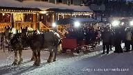 Heavy Duty Horse-Drawn Sleigh w/ Hydraulic Wheels — 12 passenger - Photo 5