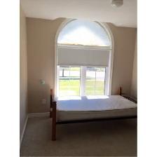 Large Main Floor Bedroom AVAILABLE - Photo 2