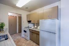 Selkirk - Two-bedroom Suite Available - Photo 3