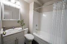 East Kildonan - One-Bedroom Suites Available - Photo 5