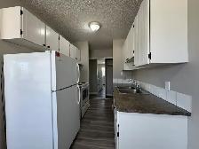 ⭐ TWO WEEK FREE ⭐ Amazing 2 Bedroom  Apartment on Quiet Close! - Photo 2