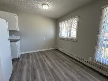 ⭐ TWO WEEK FREE ⭐ Amazing 2 Bedroom  Apartment on Quiet Close! - Photo 3