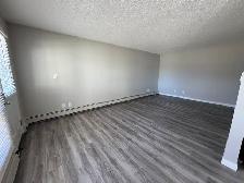 ⭐ TWO WEEK FREE ⭐ Amazing 2 Bedroom  Apartment on Quiet Close! - Photo 4
