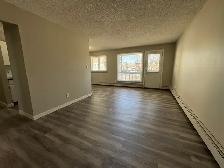 ⭐ TWO WEEK FREE ⭐ Amazing 2 Bedroom  Apartment on Quiet Close! - Photo 5
