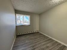 ⭐ TWO WEEK FREE ⭐ Amazing 2 Bedroom  Apartment on Quiet Close! - Photo 6