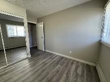 ⭐ TWO WEEK FREE ⭐ Amazing 2 Bedroom  Apartment on Quiet Close! - Photo 7