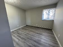⭐ TWO WEEK FREE ⭐ Amazing 2 Bedroom  Apartment on Quiet Close! - Photo 8