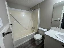 ⭐ TWO WEEK FREE ⭐ Amazing 2 Bedroom  Apartment on Quiet Close! - Photo 9