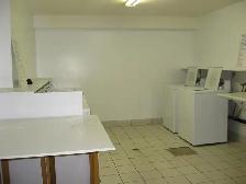 ⭐ TWO WEEK FREE ⭐ Amazing 2 Bedroom  Apartment on Quiet Close! - Photo 11