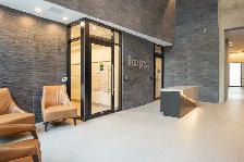 Modern Studio Apartment | Steps to Elgin Street - Photo 2