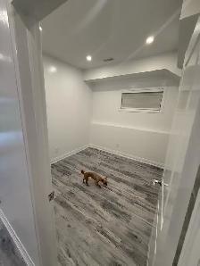new two bedroom above ground basement apartment with ravine - Photo 6