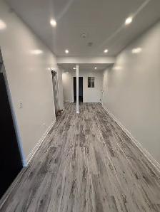 new two bedroom above ground basement apartment with ravine - Photo 7