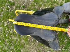 Riviera Synthetic All-Purpose English Saddle, Black - Photo 3