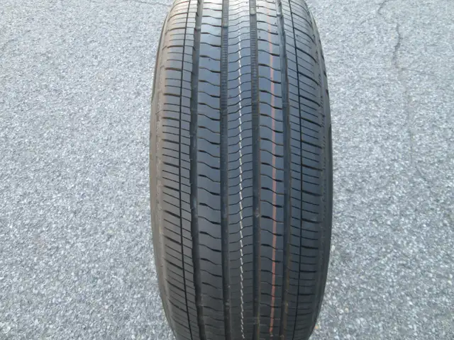 225/55R19