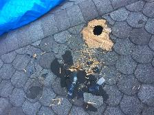 Best Roof Repair - Photo 5