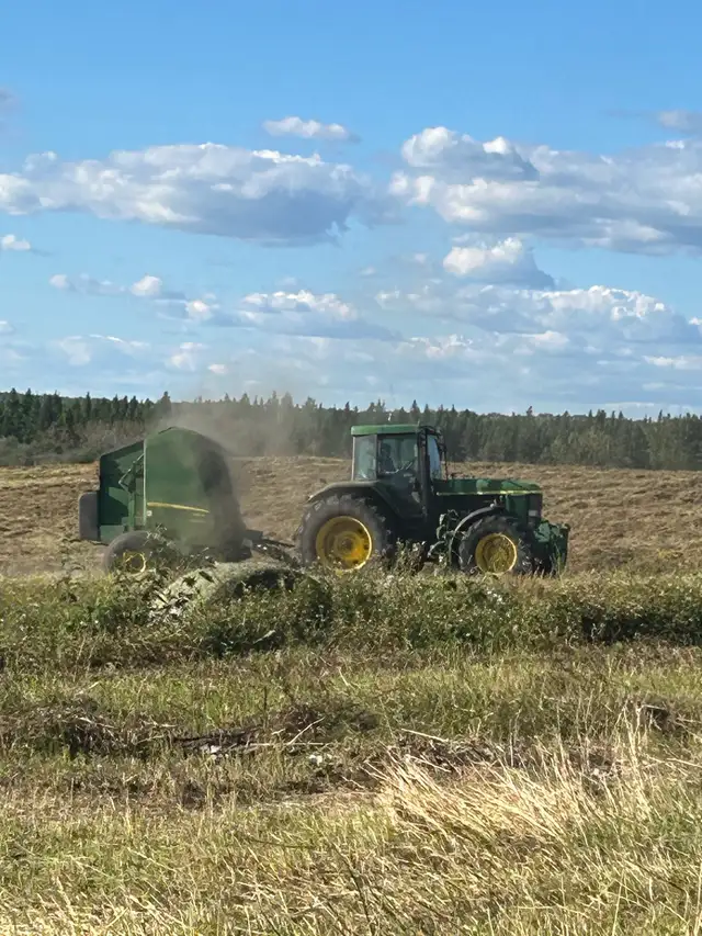 Alfalfa Round Bales