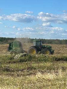 Alfalfa Round Bales