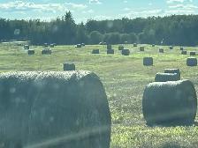 Alfalfa Round Bales - Photo 2
